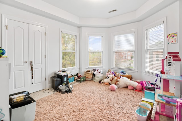 recreation room with a healthy amount of sunlight, carpet flooring, and a raised ceiling