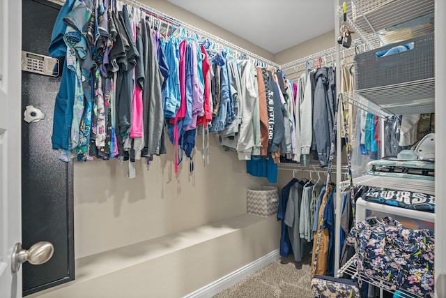 spacious closet with carpet floors