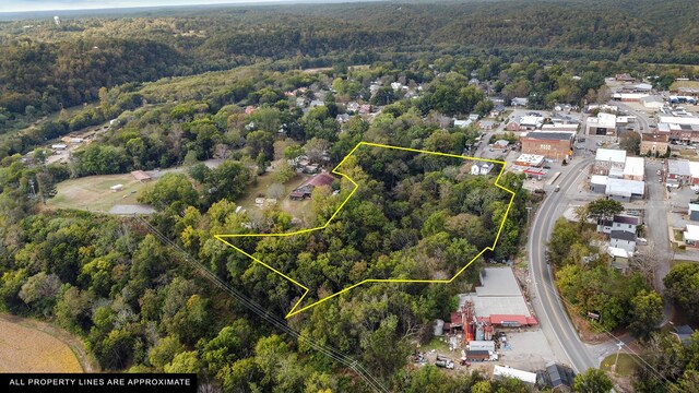 105 Webb St, Centerville, TN 37033 - aerial view