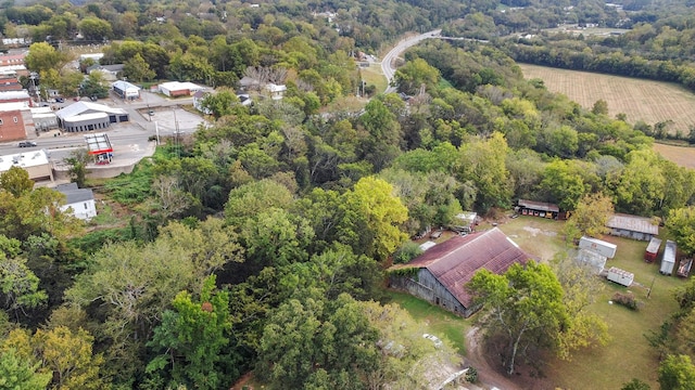 105 Webb St, Centerville, TN 37033 - birds eye view of property