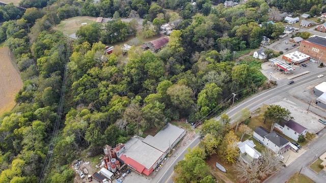 105 Webb St, Centerville, TN 37033 - birds eye view of property