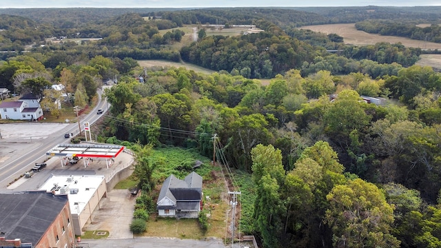 105 Webb St, Centerville, TN 37033 - bird's eye view