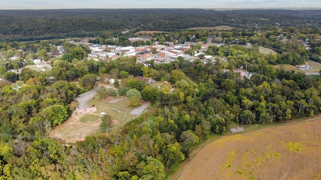 105 Webb St, Centerville, TN 37033 - birds eye view of property