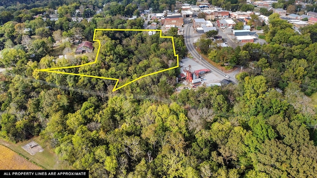 105 Webb St, Centerville, TN 37033 - drone / aerial view