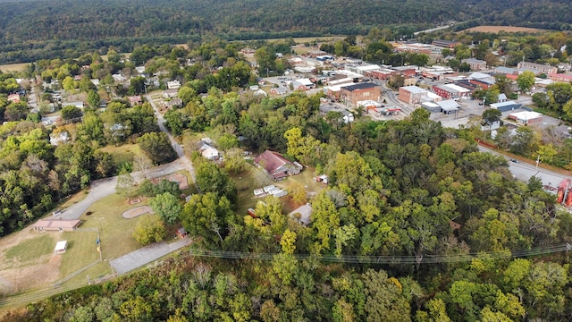 105 Webb St, Centerville, TN 37033 - aerial view