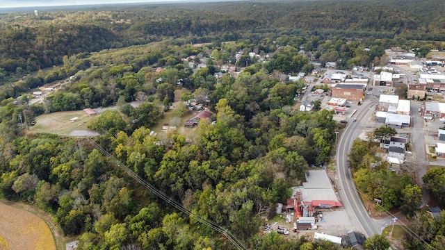 105 Webb St, Centerville, TN 37033 - drone / aerial view
