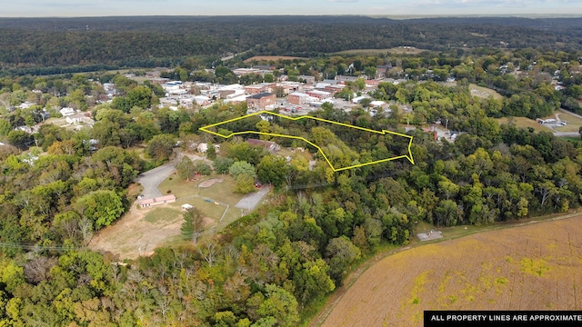 105 Webb St, Centerville, TN 37033 - bird's eye view