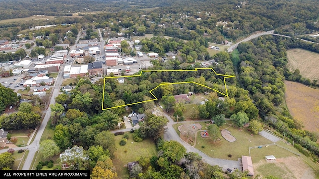 105 Webb St, Centerville, TN 37033 - aerial view