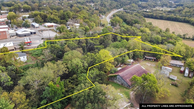 105 Webb St, Centerville, TN 37033 - bird's eye view