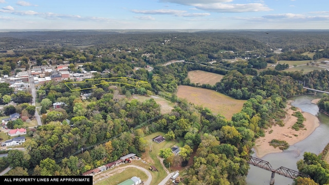 105 Webb St, Centerville, TN 37033 - drone / aerial view with a water view