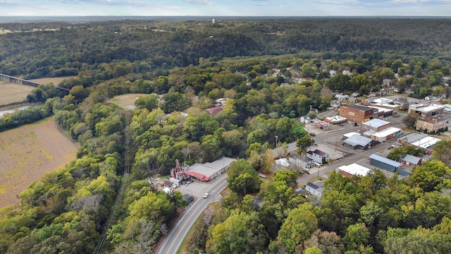 105 Webb St, Centerville, TN 37033 - drone / aerial view