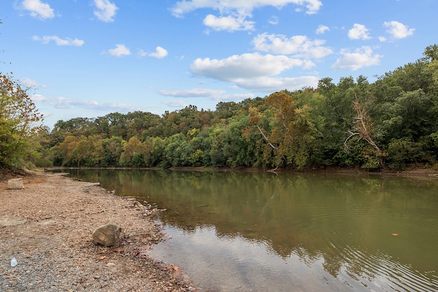 105 Webb St, Centerville, TN 37033 - view of water feature