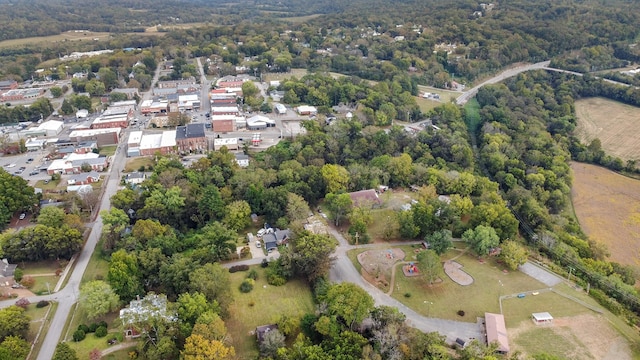 105 Webb St, Centerville, TN 37033 - aerial view