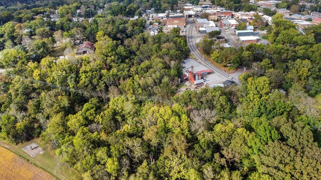 105 Webb St, Centerville, TN 37033 - aerial view