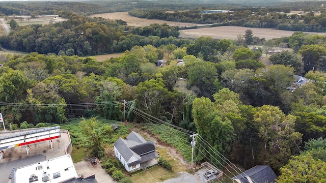 105 Webb St, Centerville, TN 37033 - bird's eye view