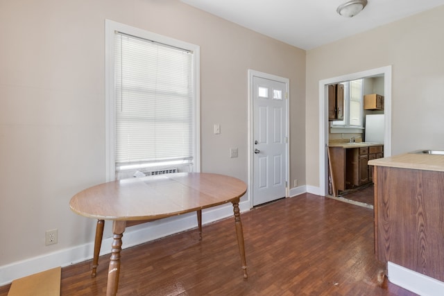 dining room featuring dark hardwood / wood-style flooring