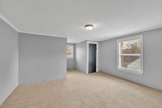 carpeted empty room featuring ornamental molding and plenty of natural light