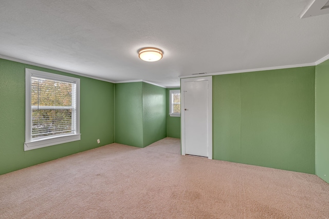 unfurnished room featuring a textured ceiling, plenty of natural light, and light colored carpet