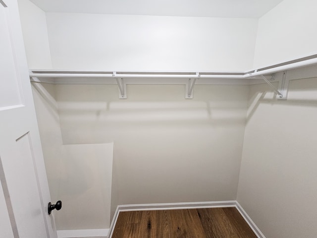 walk in closet with hardwood / wood-style floors