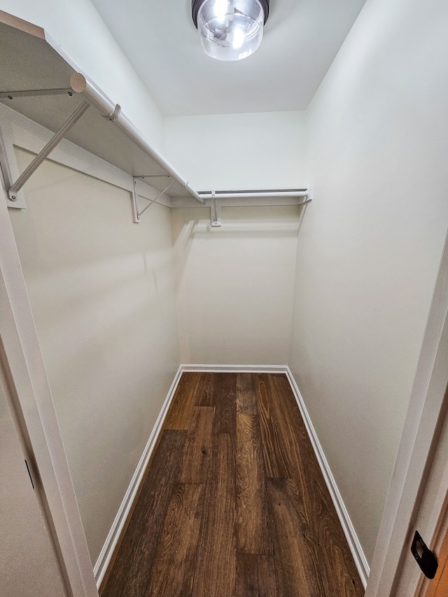 walk in closet with hardwood / wood-style floors