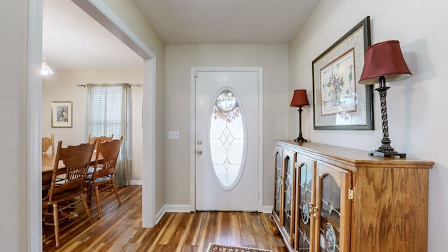 foyer with hardwood / wood-style flooring and plenty of natural light