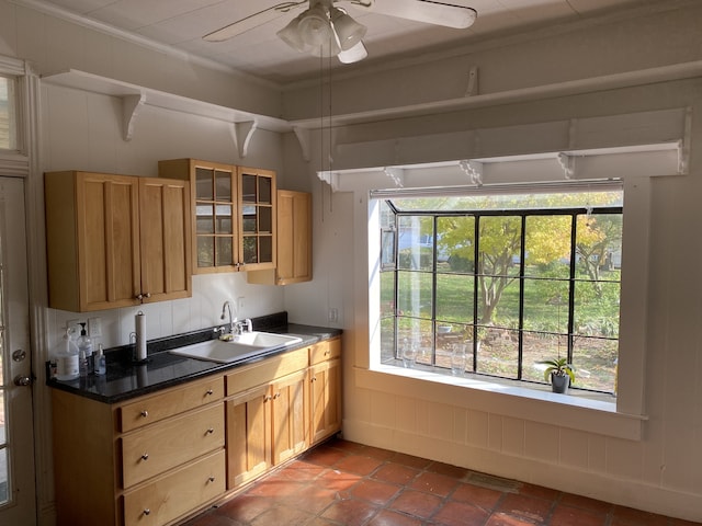 kitchen featuring ceiling fan, plenty of natural light, sink, and crown molding