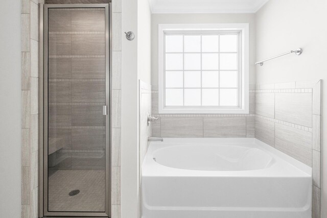 646 Woodrush Dr, Clarksville, TN 37040 - full bathroom with a bath, a stall shower, and ornamental molding