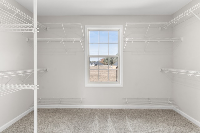 walk in closet with carpet