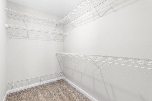 646 Woodrush Dr, Clarksville, TN 37040 - spacious closet with carpet