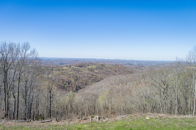 Listing photo 3 for 0 Anderson Rd, Byrdstown TN 38549