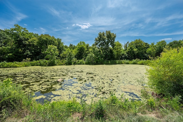 view of nature