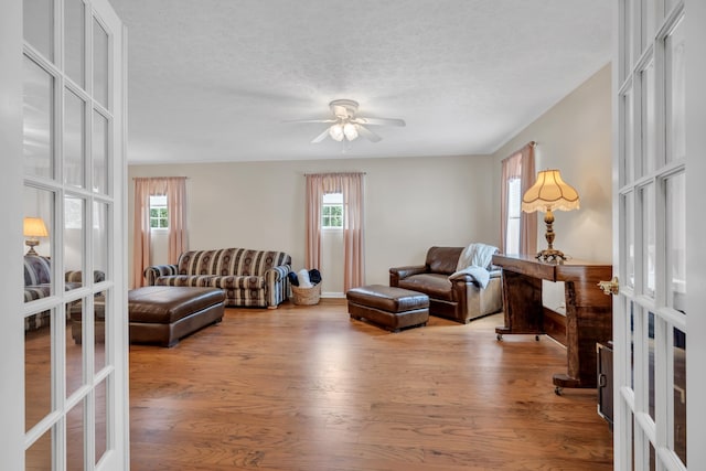 living room with french doors, light hardwood / wood-style floors, and plenty of natural light