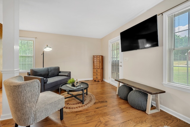 living room featuring hardwood / wood-style flooring