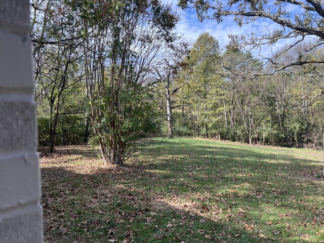 301 Rural Hill Ct, Nashville, TN 37217 - photo 5