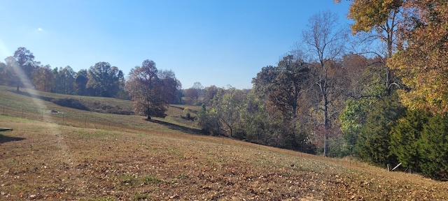 104 Oak Crest Dr, Tennessee Ridge, TN 37178 - view of yard