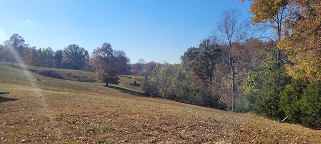 view of yard with a rural view