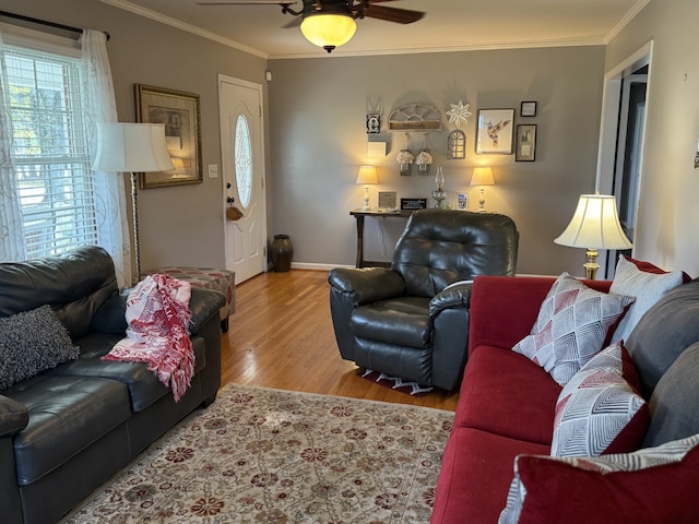 living room featuring crown molding, ceiling fan, and light hardwood / wood-style floors