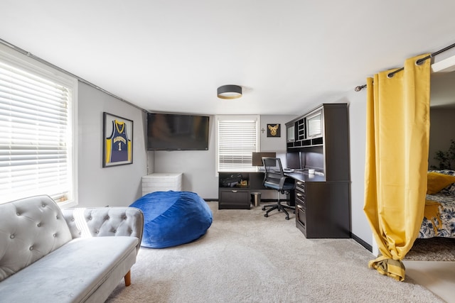 office featuring a wealth of natural light and light colored carpet