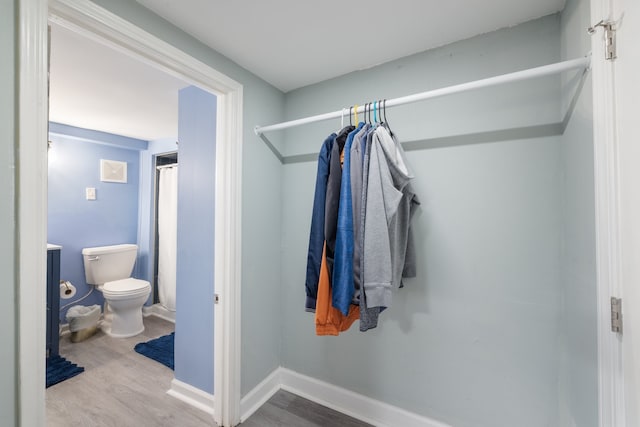 spacious closet with hardwood / wood-style floors