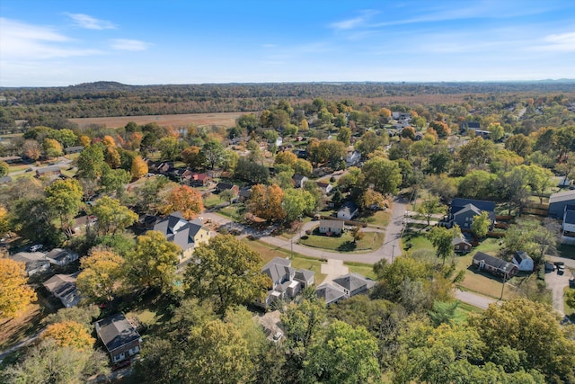 bird's eye view