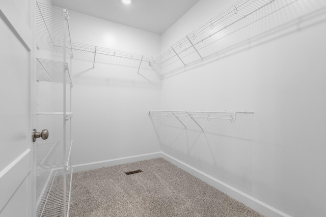 spacious closet featuring carpet