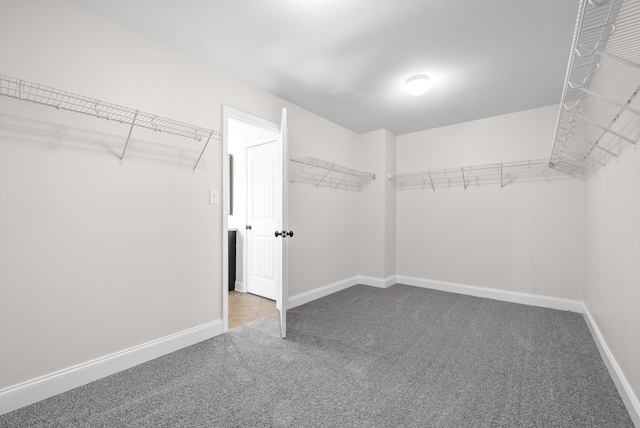 walk in closet featuring carpet floors