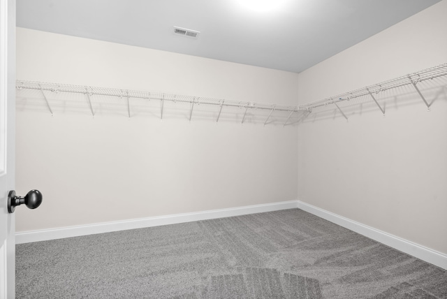 walk in closet featuring carpet