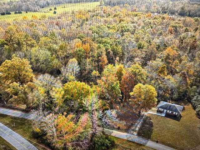 1402 Moore Ln, Southside TN, 37171 land for sale