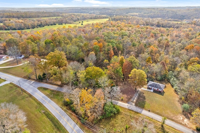 1402 Moore Ln, Southside, TN 37171 - photo 5