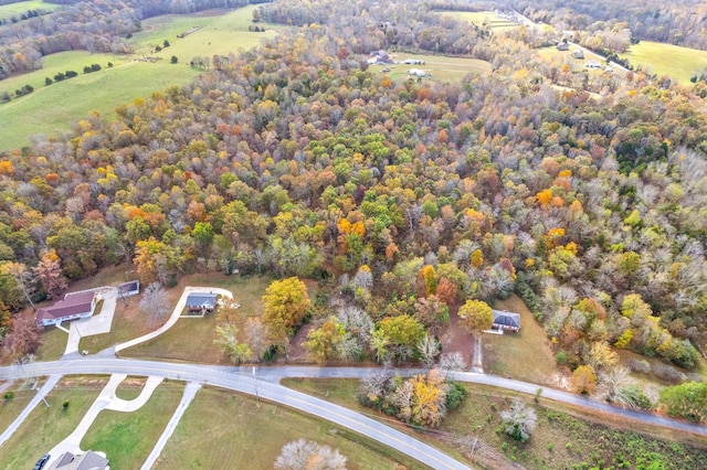 1402 Moore Ln, Southside, TN 37171 - photo 25