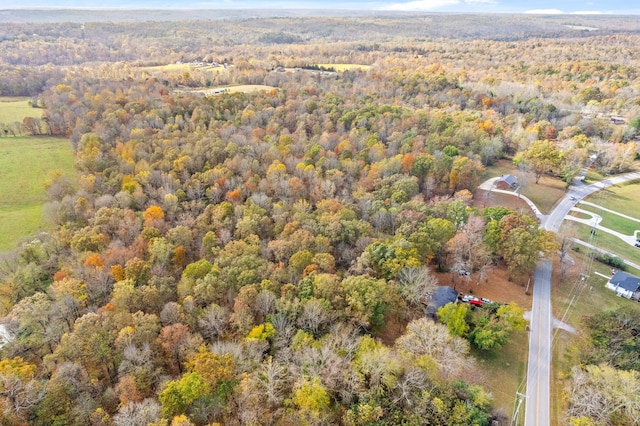 1402 Moore Ln, Southside, TN 37171 - photo 26