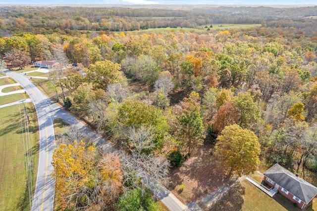1402 Moore Ln, Southside, TN 37171 - photo 21