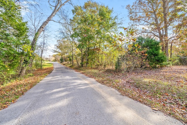 1402 Moore Ln, Southside, TN 37171 - photo 6