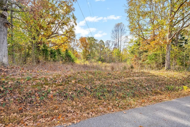 1402 Moore Ln, Southside, TN 37171 - photo 8